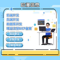 網站二次開發 高效修復Bug與增強功能，提供一站式信息技術咨詢服務